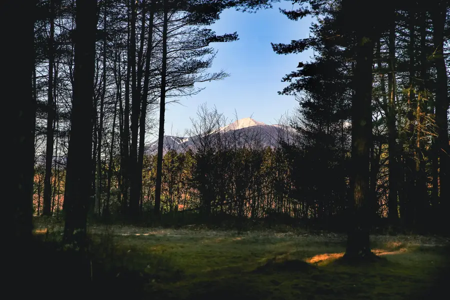 205 River Road, Jay, NY 12941 - Image #2