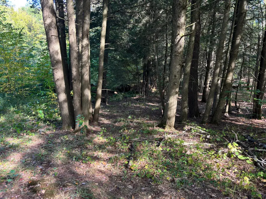 7639 Oakview Terrace Lot 17, Rome, NY 13440 - Image #2