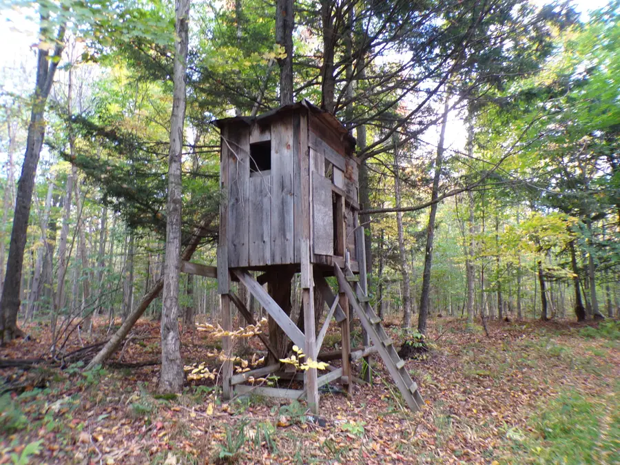 147 John Hill, Moira, NY 12957 - Image #2