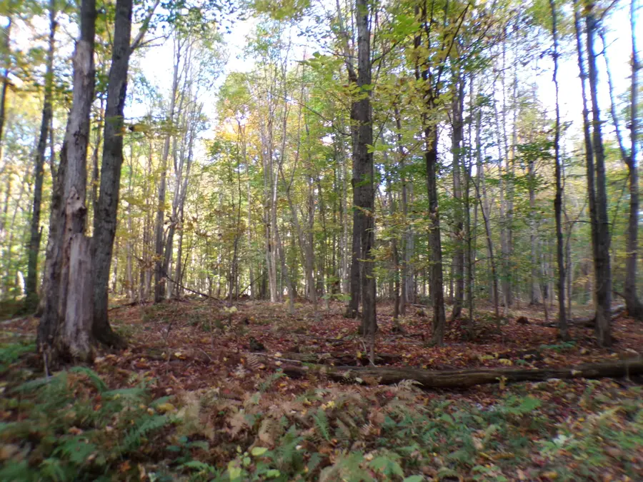 147 John Hill, Moira, NY 12957 - Image #3