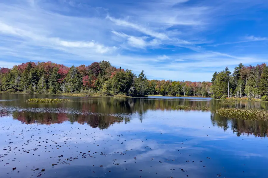 00 South Road E, Forestport, NY 13338 - Image #2