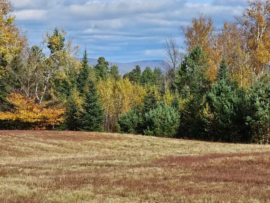 Lot 23 Mountain View Lane, Glens Falls North, NY 12989 - Image #2