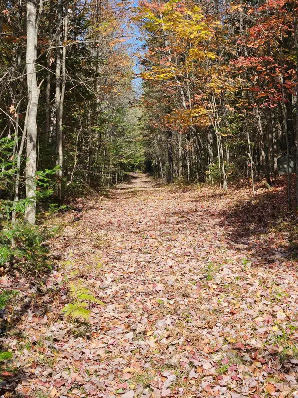 Lot 25 County Route 60, Merrillsville, NY 12989