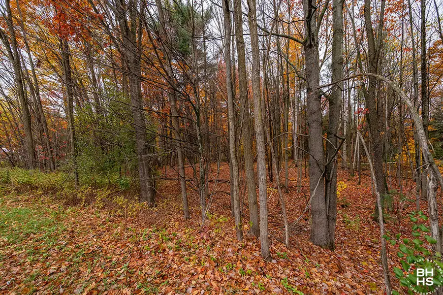 0 Rockwell Road, Schuyler Falls, NY 12985 - Image #3