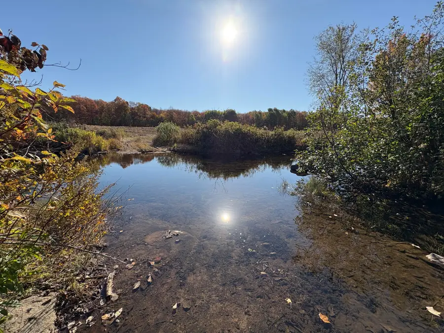 0 White Road, Mooers, NY 12958 - Image #3