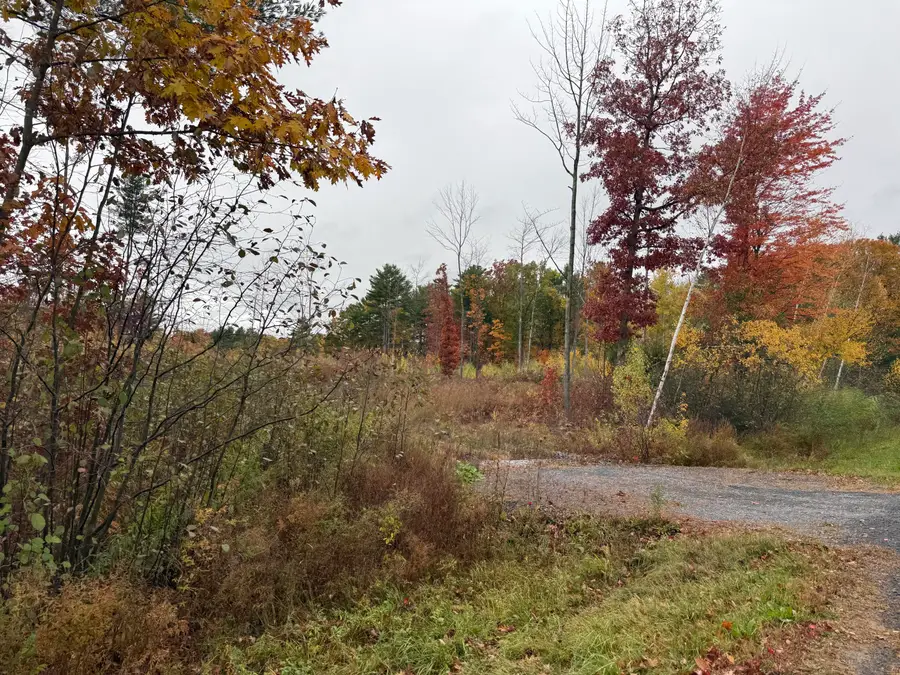 0 Lapham Mills Road, Peru, NY 12972 - Image #2