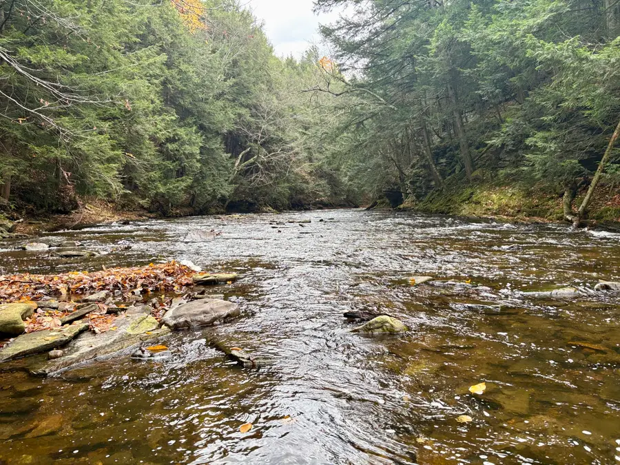 0 Chasm Road, Chateaugay, NY 12920 - Image #3