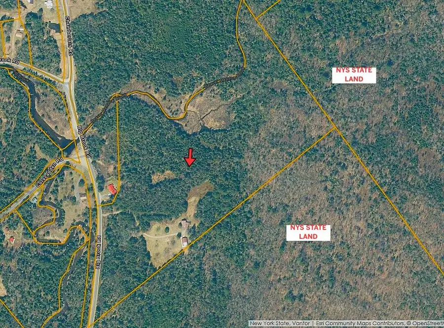 617 Big Brook Road, Indian Lake, NY 12842 - Image #3