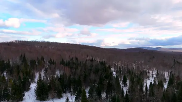 0 Walkerville Road, Brandon, NY 12966