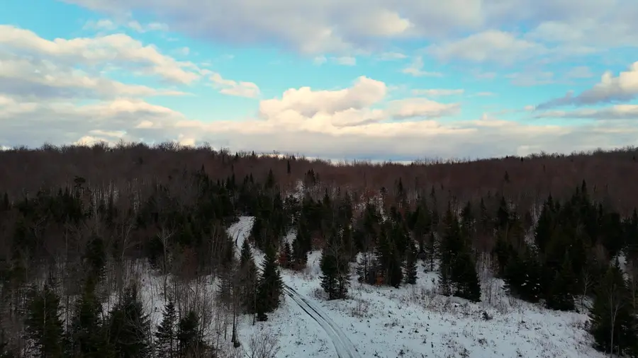 0 Walkerville Road, Brandon, NY 12966 - Image #3