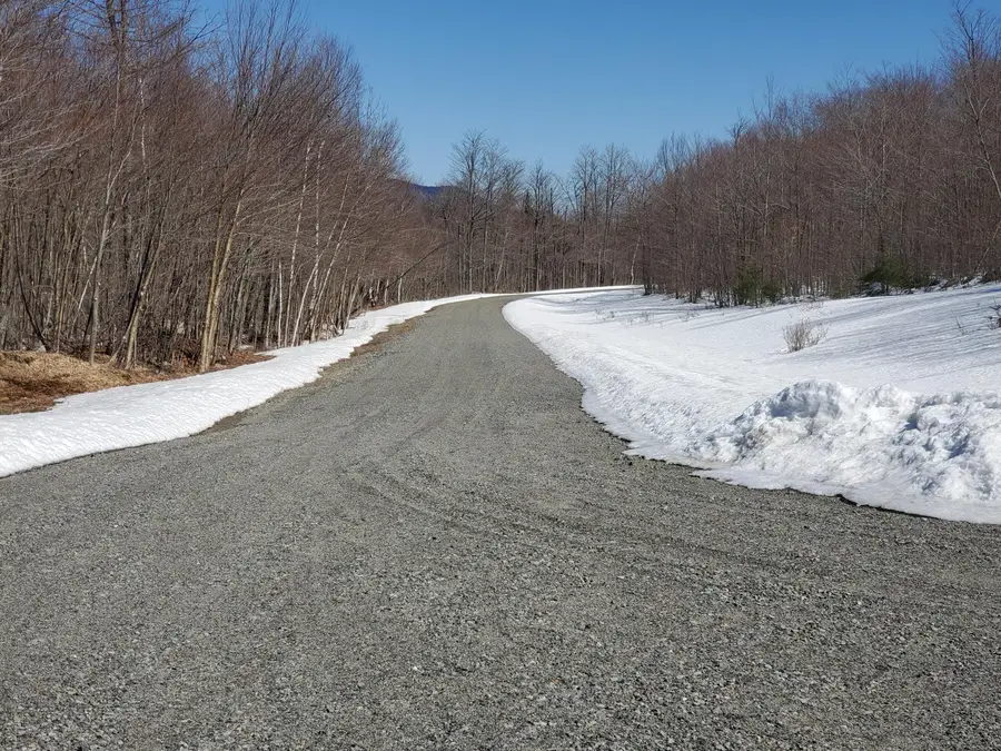 Lot 7 Daigneau Trail, Franklin, NY 12989 - Image #2