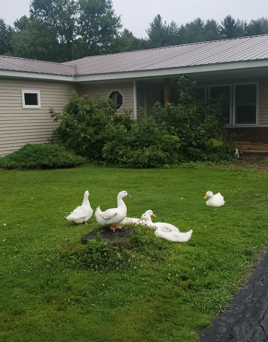 1400 State Route 95, Bombay, NY 12914 - Image #2