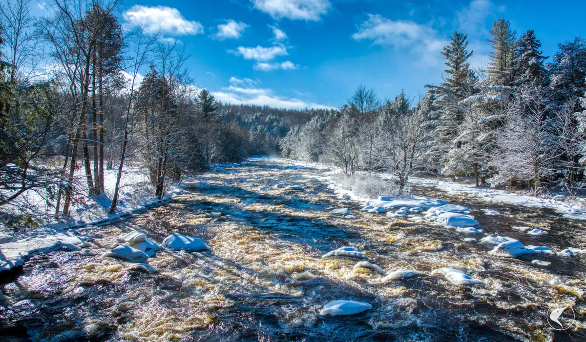 291 Hewitt Road, Saint Regis Falls, NY 12980 - Image #1