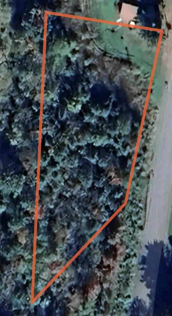 197 Moss Road, Lewis, NY 12950 - #2