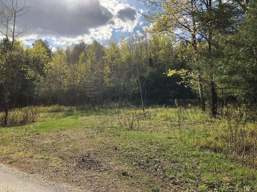 14 Cable Access Way, Minerva, NY 12851 - #2