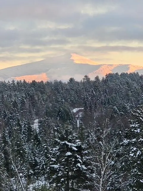 55 Jaelyn Way, Vermontville, NY 12989 - #1