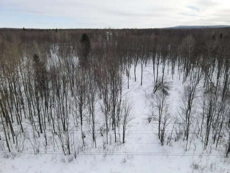 6005 Military Turnpike, Ellenburg Depot, NY 12935 - #1