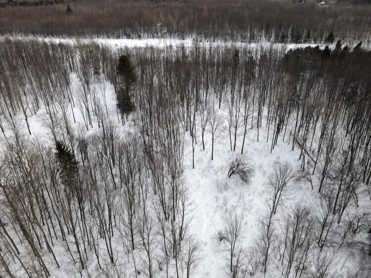 6005 Military Turnpike, Ellenburg Depot, NY 12935 - #2