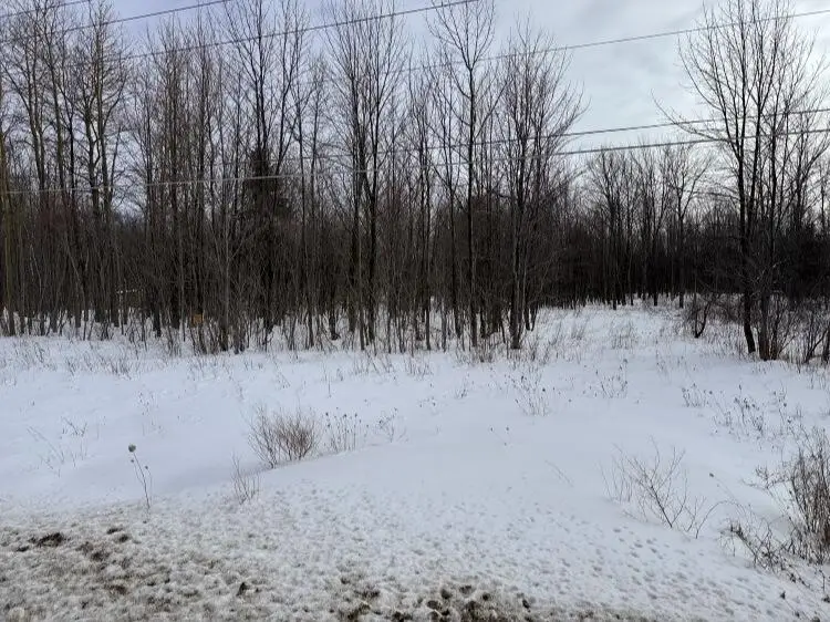 6005 Military Turnpike, Ellenburg Depot, NY 12935 - #3