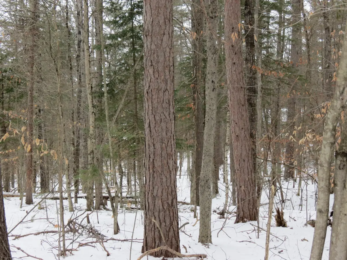 00 Algonquin Lane, Jay, NY 12941 - #1