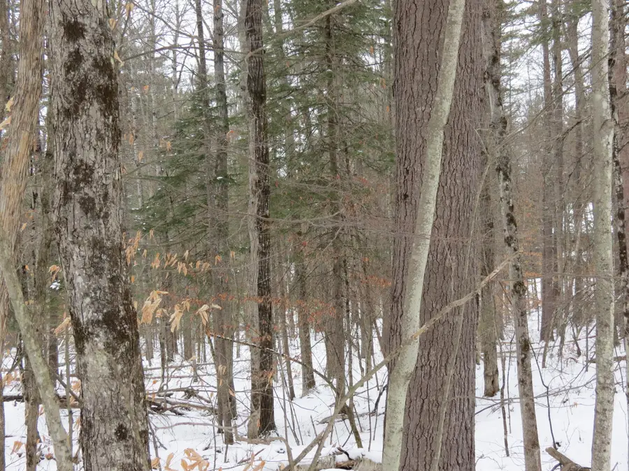 00 Algonquin Lane, Jay, NY 12941 - #2