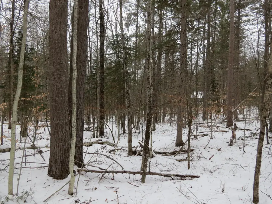 00 Algonquin Lane, Jay, NY 12941 - #3