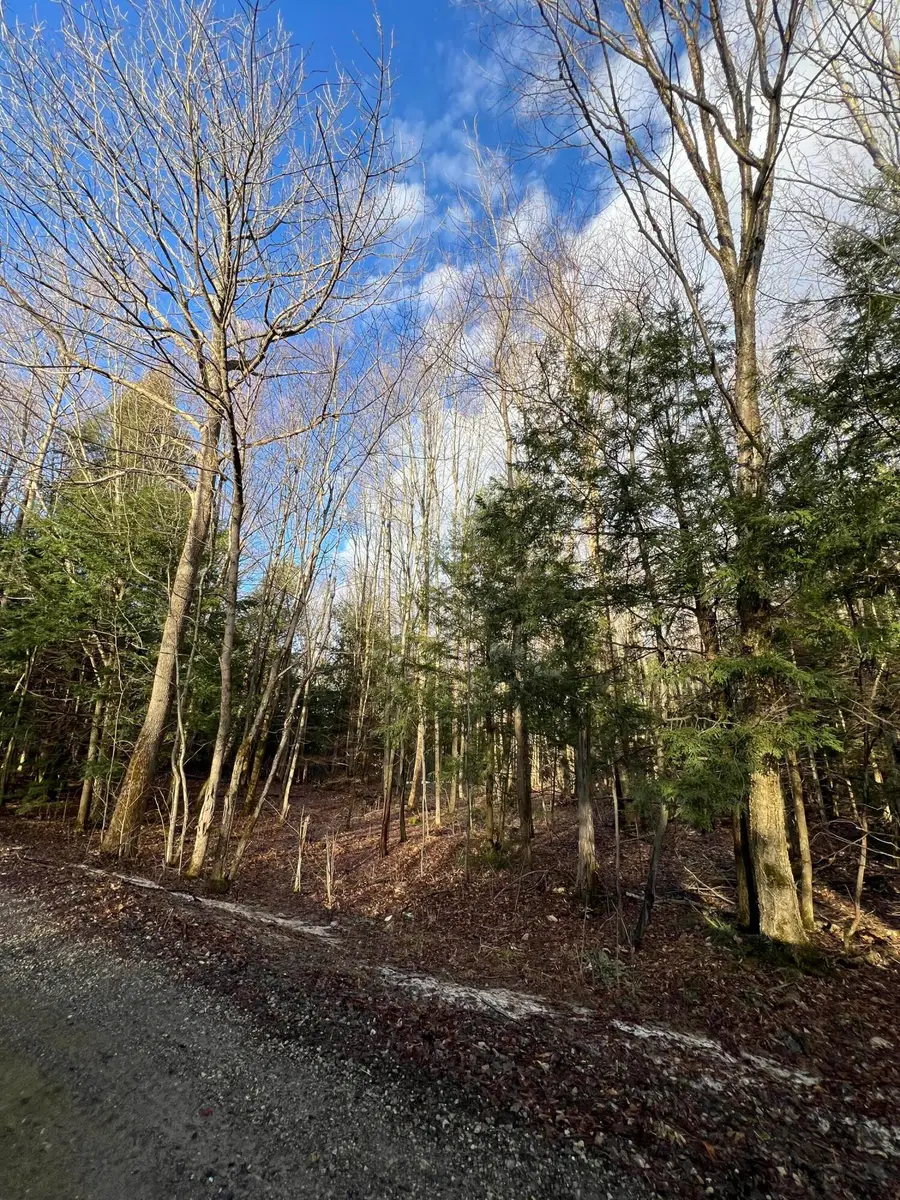 Lot #1 Commons Road, Chateaugay, NY 12920 - #3