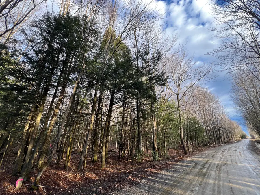 Lot # 6 Commons Road, Chateaugay, NY 12920 - #2