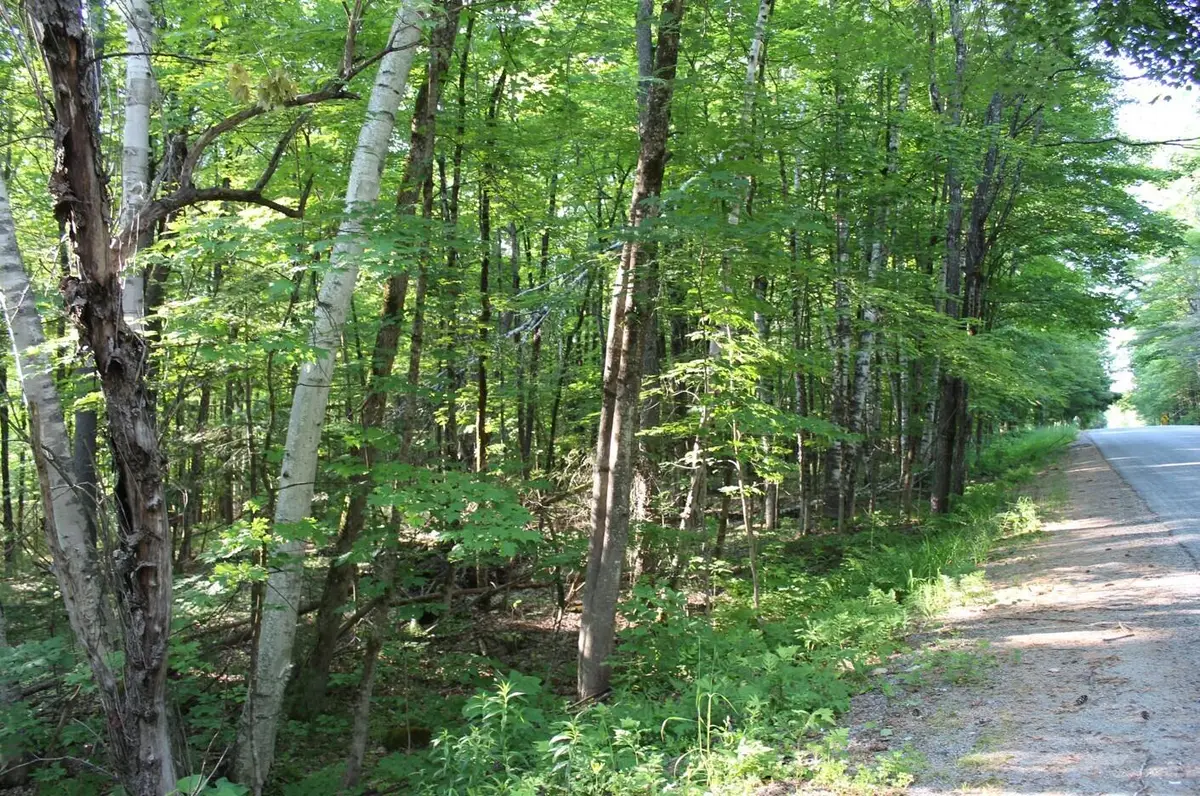 1414 North Gore Road, Chestertown, NY 12817 - #1