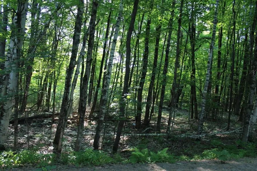 1414 North Gore Road, Chestertown, NY 12817 - #2