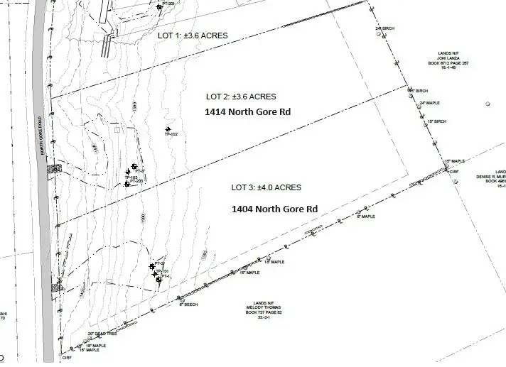 1414 North Gore Road, Chestertown, NY 12817 - #3