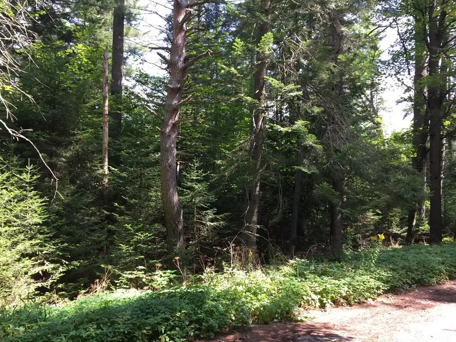 0 Lake Placid Club Way, Lake Placid, NY 12946 - #3