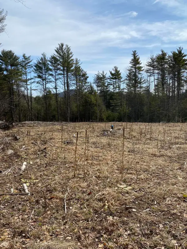 530 Fox Run Road Street, Lewis, NY 12950