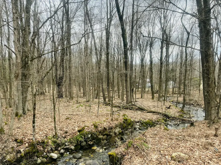 000 Sam Cook Road, Chateaugay, NY 12920 - #3