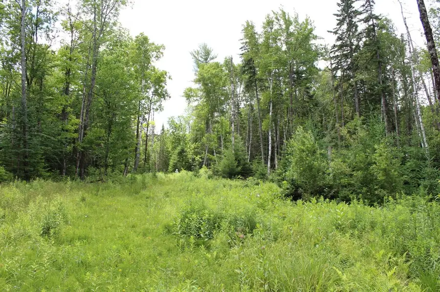 L3 Chamberlain Rd, Indian Lake, NY 12842 - #3