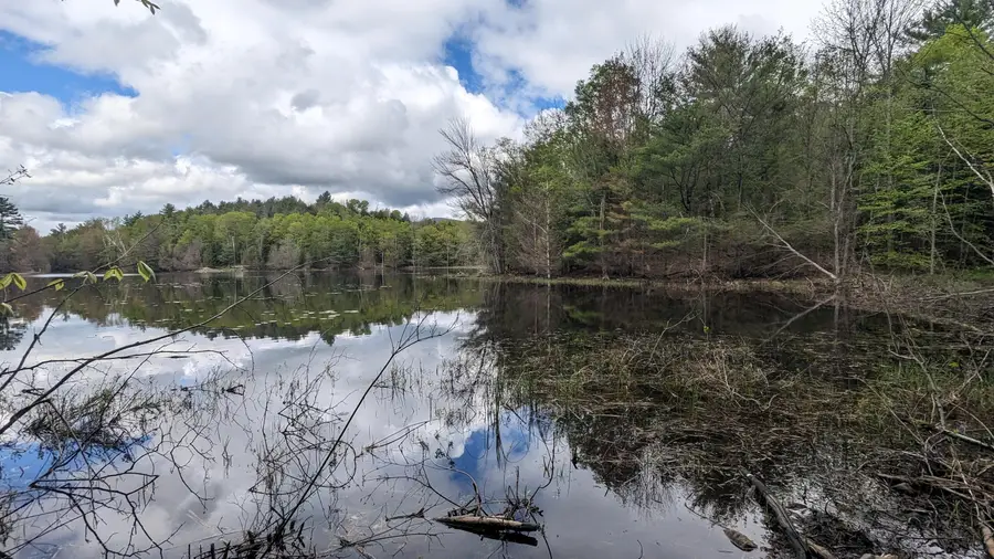 118 Sherman Lake Road, Crown Point, NY 12928 - #3