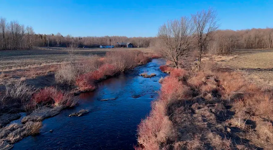 0 White Road, Mooers, NY 12958 - #2