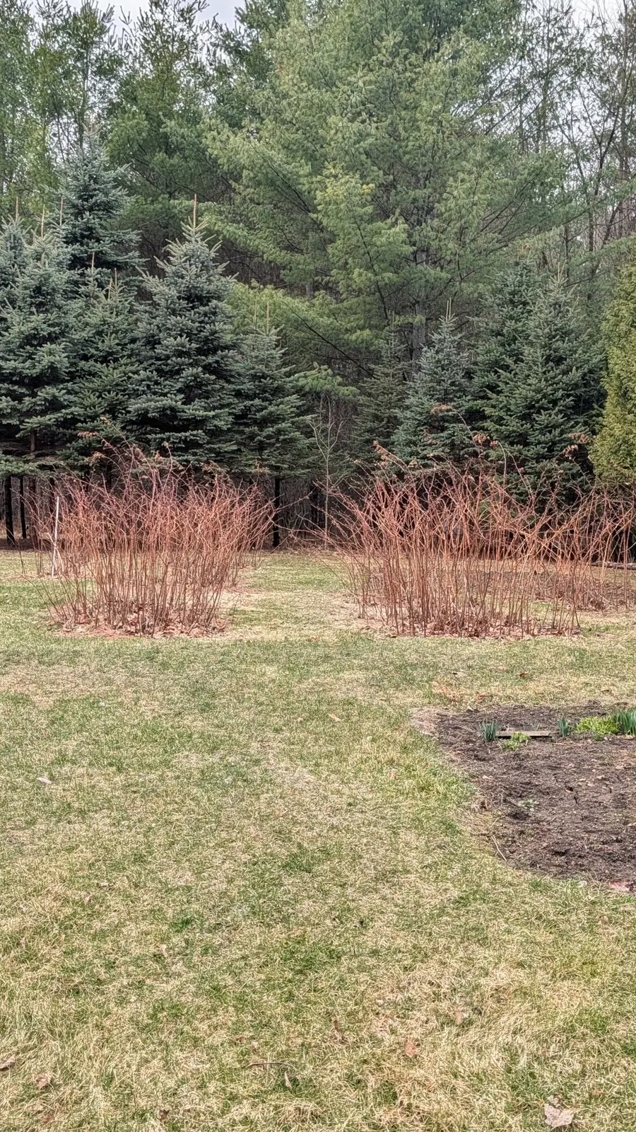 0 River Bend Drive, Plattsburgh, NY 12901 - #2