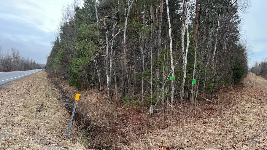 655 Smith Road, Ellenburg, NY 12933 - #3