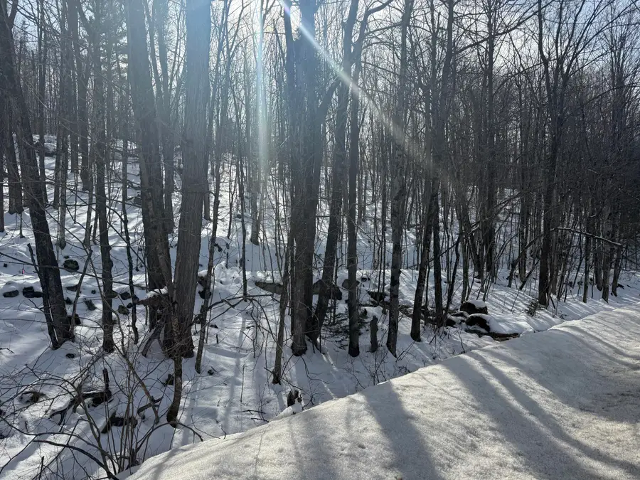 549 Ore Bed Road, Schuyler Falls, NY 12985 - #2