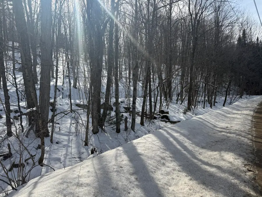 549 Ore Bed Road, Schuyler Falls, NY 12985 - #3