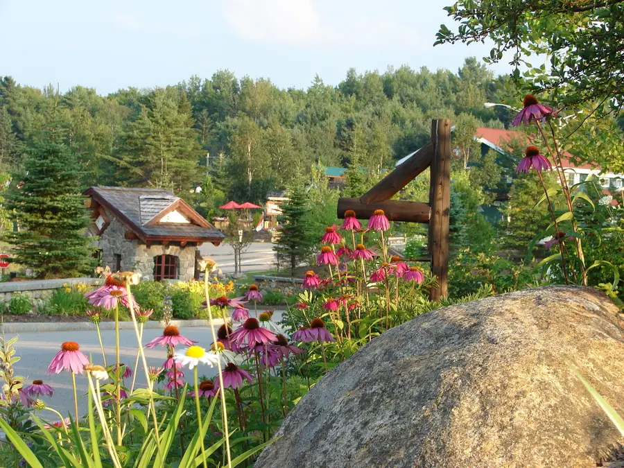 7 Whiteface Inn Lane #127, int 9, Lake Placid, NY 12946 - #3