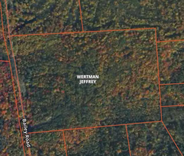 0 Bailey Road, St. Regis Falls, NY 12980