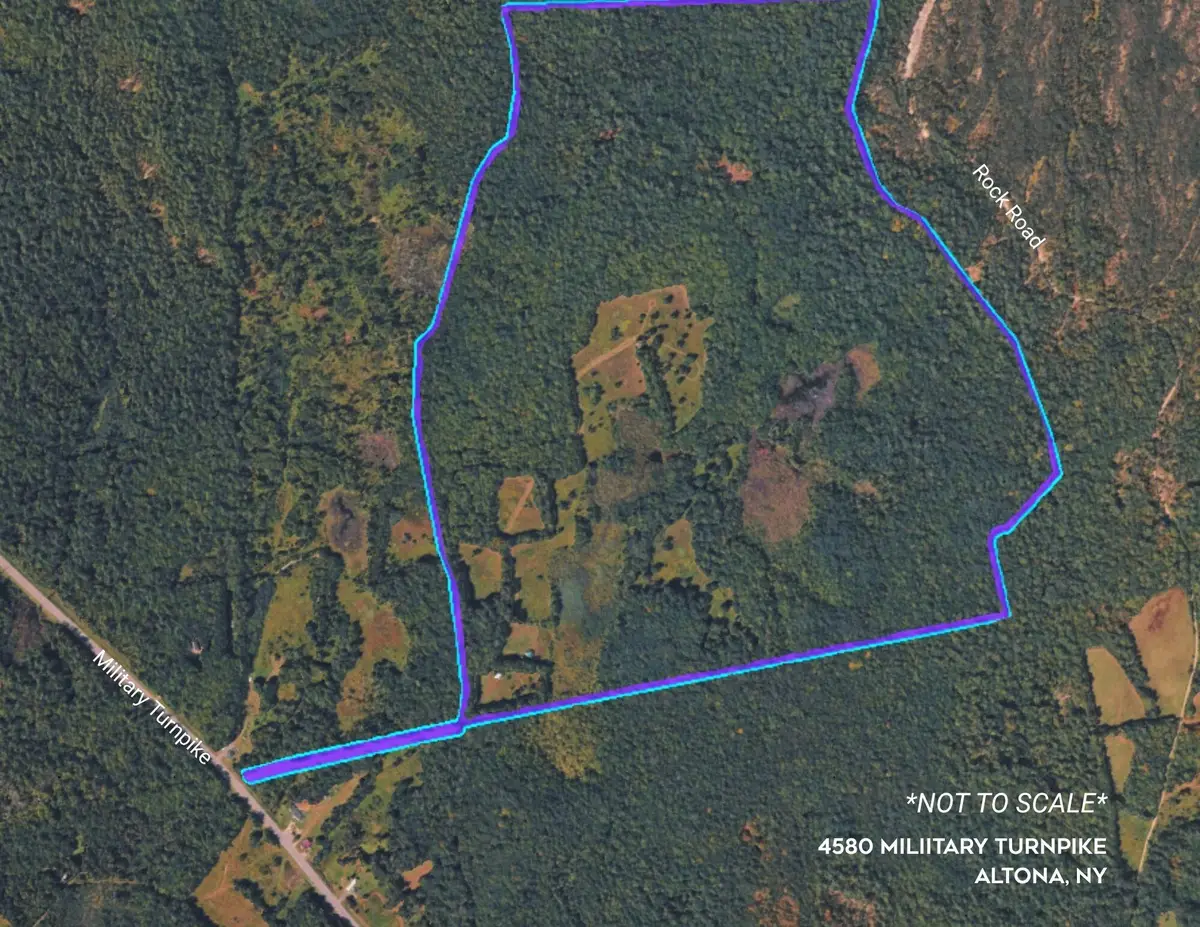 4580 Military Turnpike, Altona, NY 12910 - #1