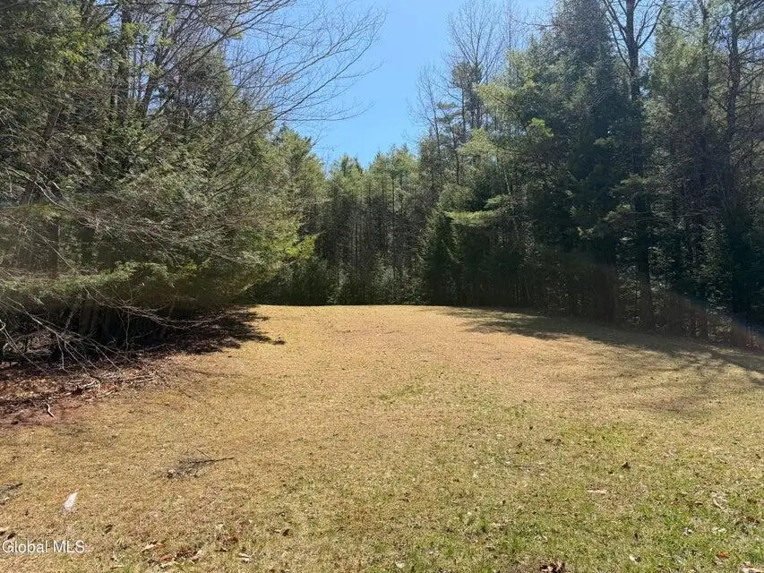 5509 Lincoln Pond (lot 1) Road, Elizabethtown, NY 12932 - #1