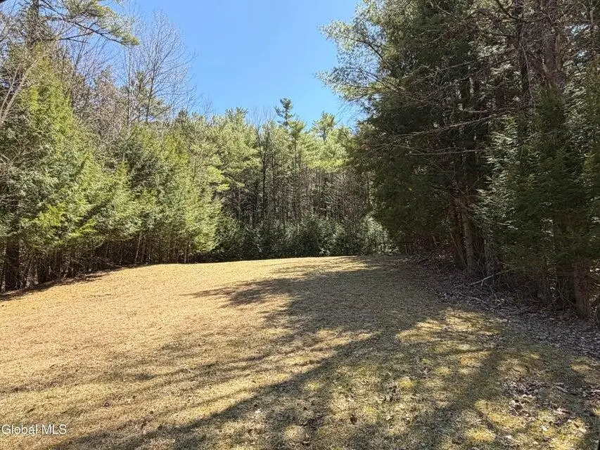 5509 Lincoln Pond (lot 1) Road, Elizabethtown, NY 12932 - #2