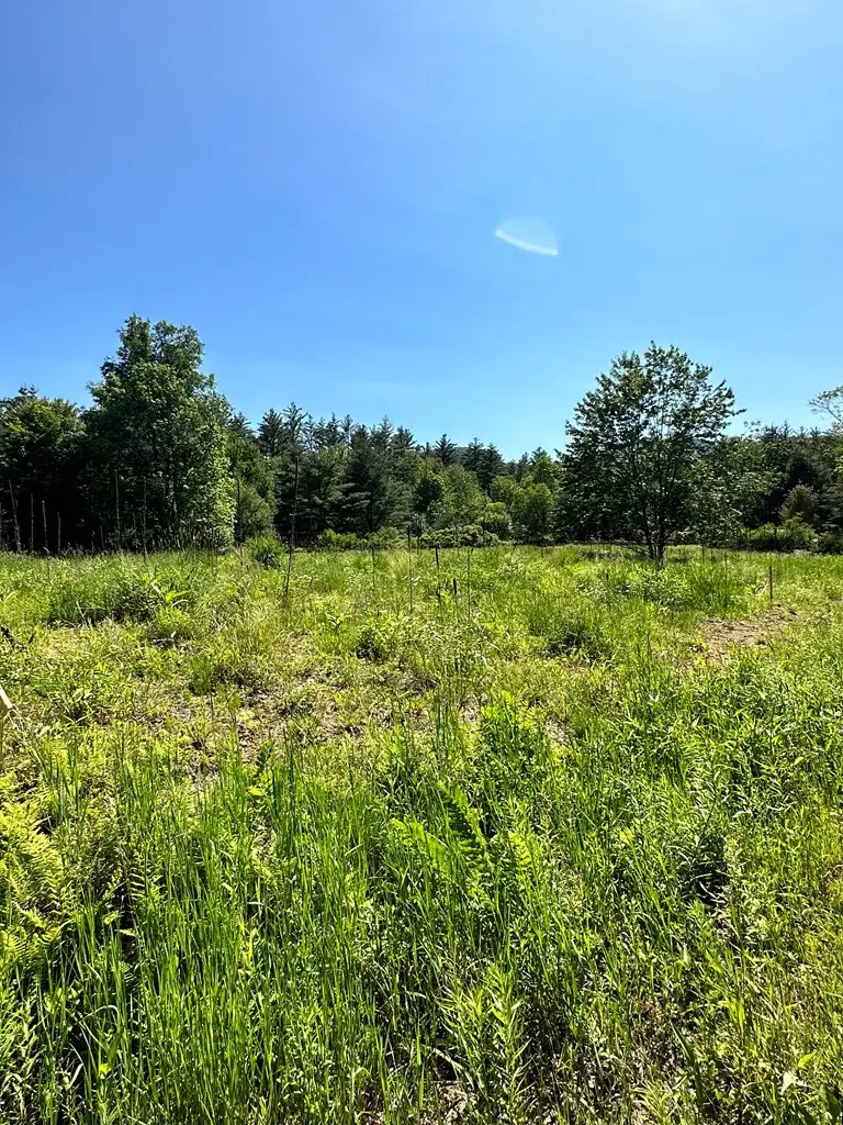 0 Crowningshield Way (lot #3), Jay, NY 12941 - #3