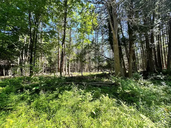 0 Mellow Way (lot #5), Wilmington, NY 12997