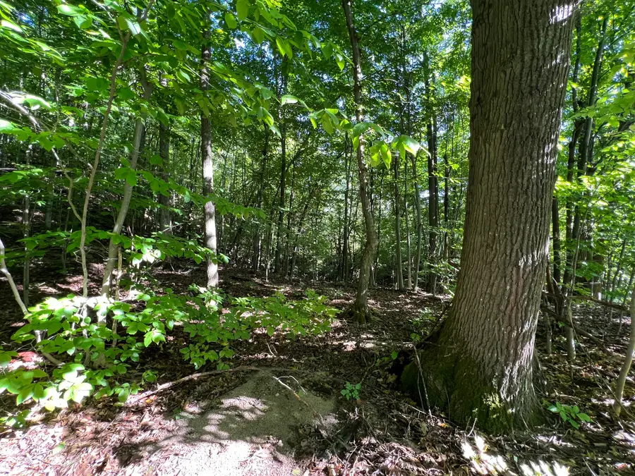 0 Jersey Swamp Road, Morrisonville, NY 12962 - #3