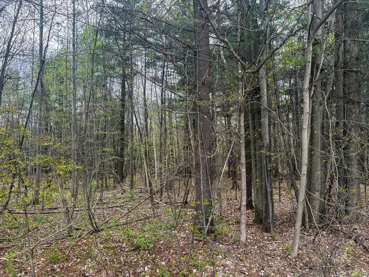 0 Callahan Road, Burke, NY 12917 - #1